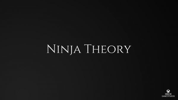 Следующая игра от Ninja Theory после Bleeding Edge, похоже, получится очень масштабной